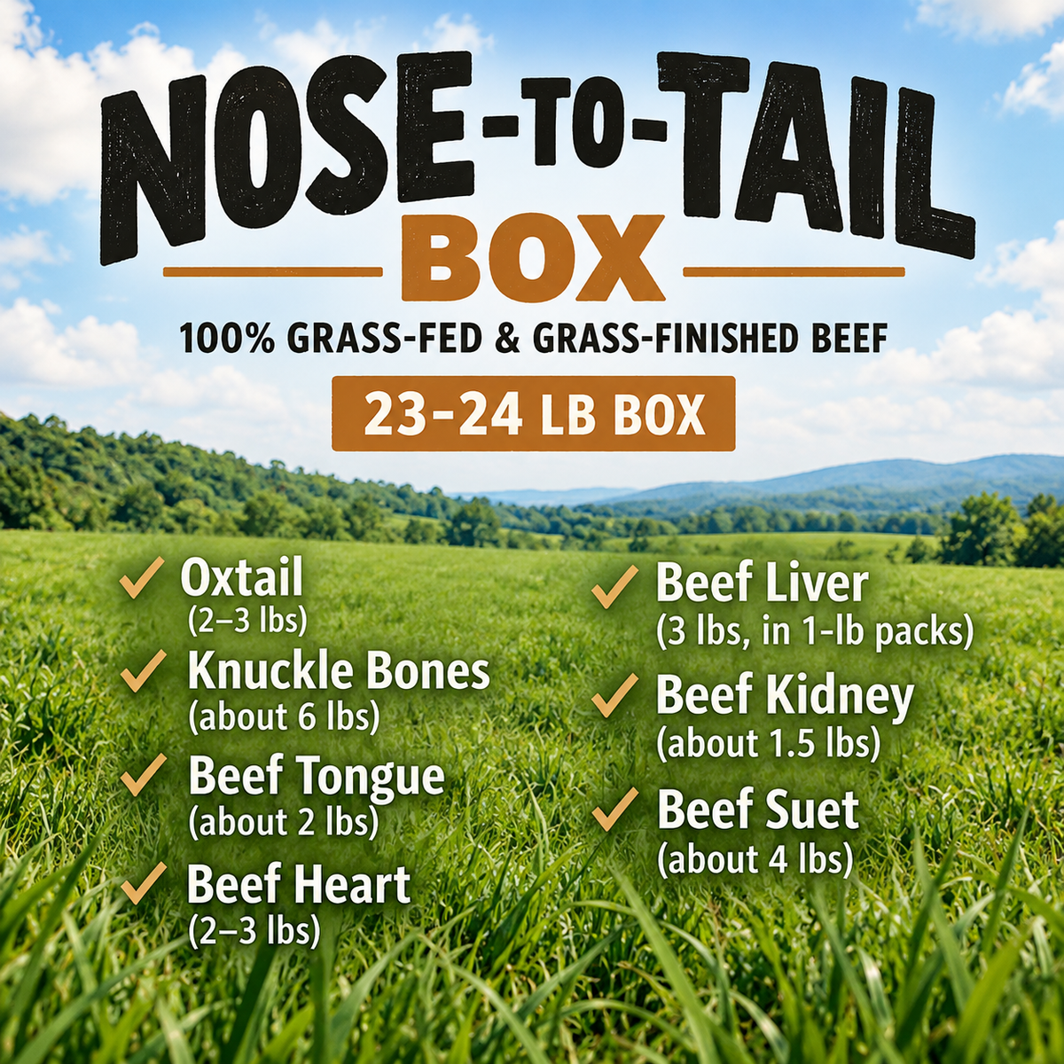 100% Grass-Fed Nose-to-Tail Box