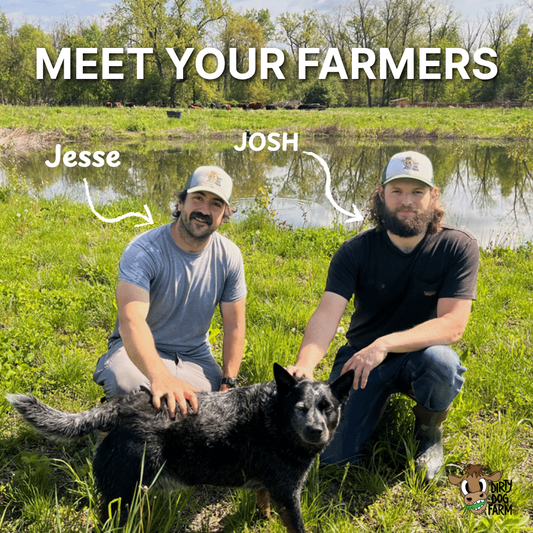 How a Small Grass Fed Beef Farm Becomes a Beef Expert (Or: We Made the News, Kinda)