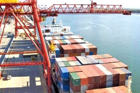 Why Is the US Importing 300,000 More Tons of Beef? (A Farmer's Take)