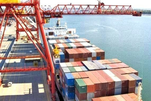 Why Is the US Importing 300,000 More Tons of Beef? (A Farmer's Take)