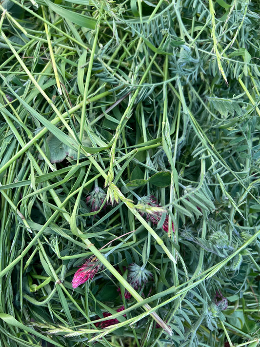 Hay Season Launch Party: Why the Day We Cut Hay Matters For Your Beef