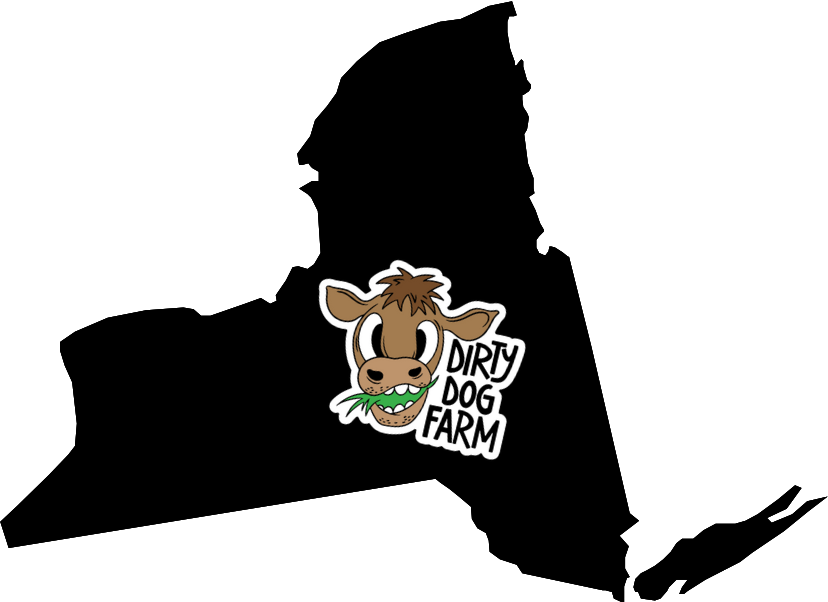 What Makes New York Grass-Fed Beef The Best