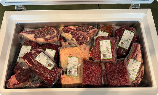The Ultimate Guide to Freezers!