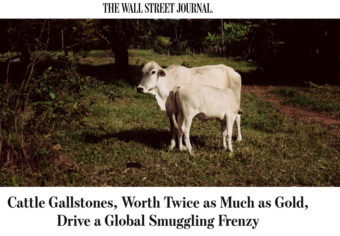 I owe Big Food/Pharma/Ag an apology