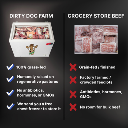 Beef Share with FREE Chest Freezer