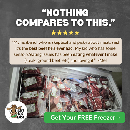 Beef Share with FREE Chest Freezer