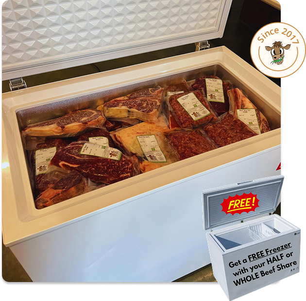 Beef Share with FREE Chest Freezer