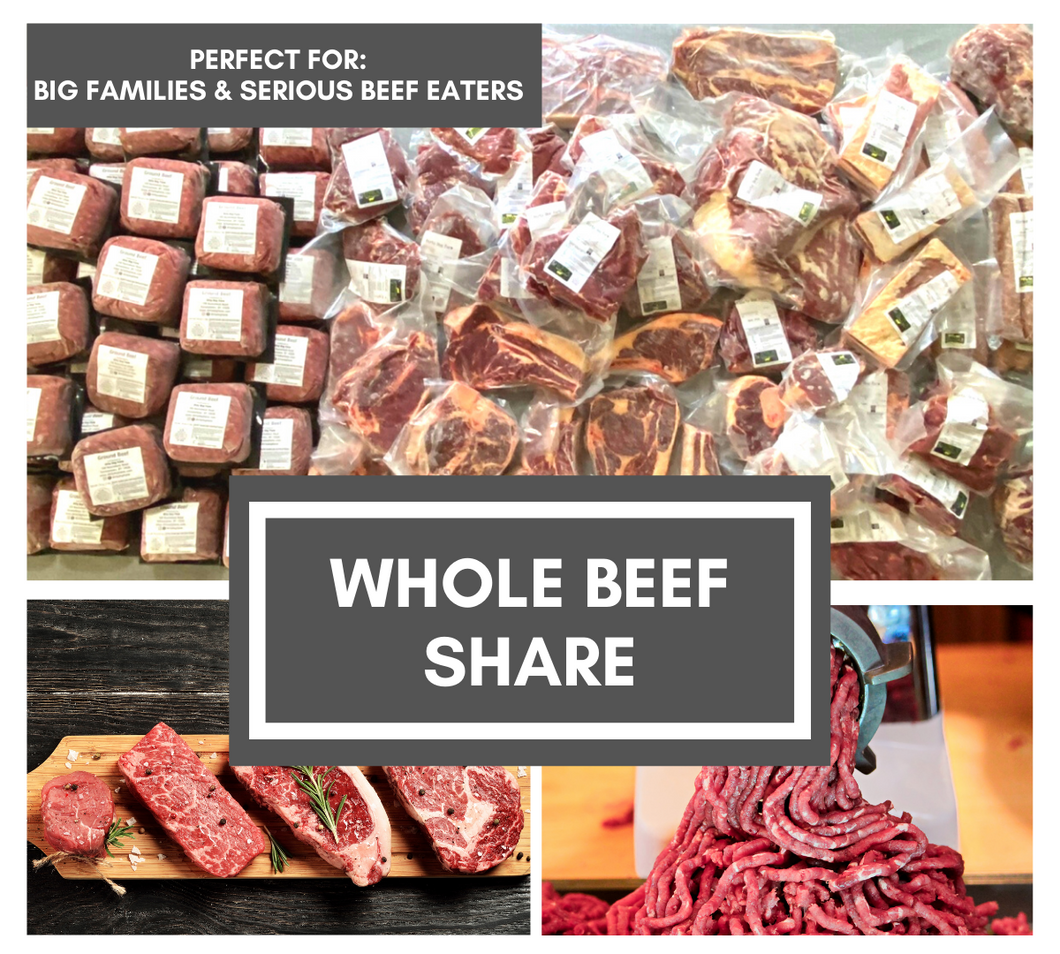 Whole Beef Share (360+ Pounds) - WITH FREE FREEZER - DEPOSIT