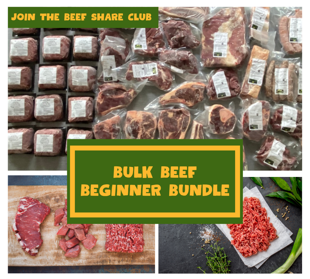 Bulk Beef Beginner Bundle