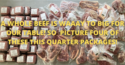Whole Beef Share (400 Pounds) - With FREE Freezer